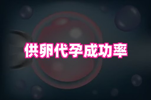 厦门助孕网站 3